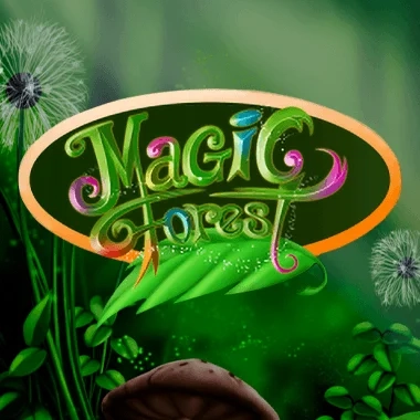 Magic Forest
